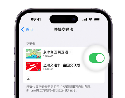 太平apple维修点分享iPhone上更换Apple Pay快捷交通卡手绘卡面 