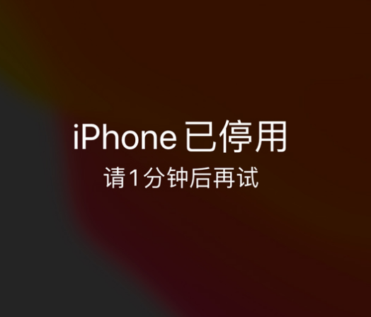 太平苹果手机维修分享:iPhone 显示“不可用”或“已停用”怎么办？还能保留数据吗？ 