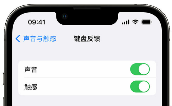 太平苹果手机维修分享iPhone 14触感键盘使用方法 