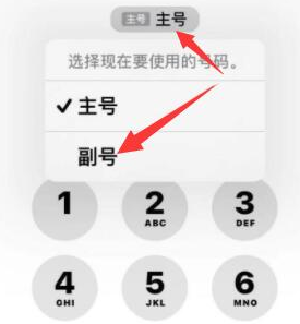 太平苹果14维修店分享iPhone 14 Pro Max使用副卡打电话的方法 