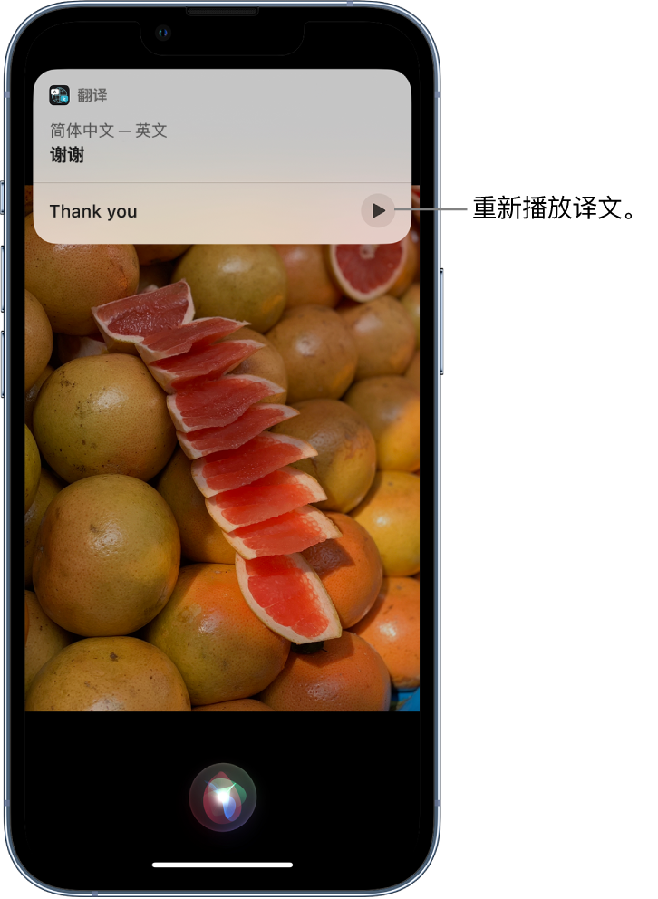 太平苹果14维修分享 iPhone 14 机型中使用 Siri：了解 Siri 能帮你做什么 