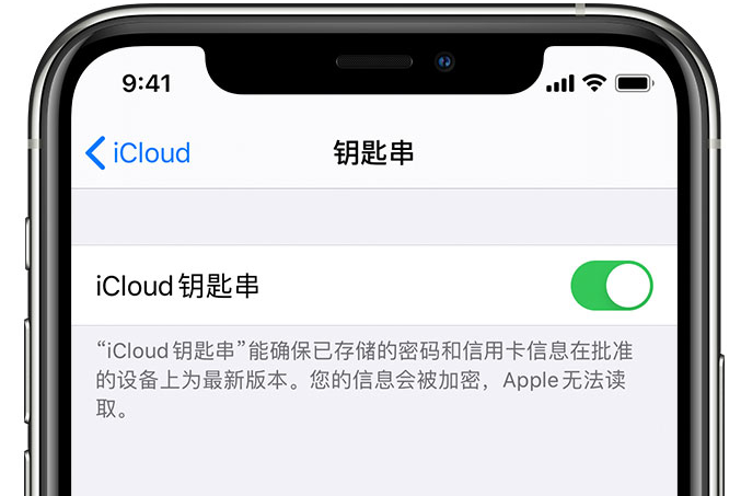 太平苹果手机维修分享在 iPhone 上开启 iCloud 钥匙串之后会储存哪些信息 