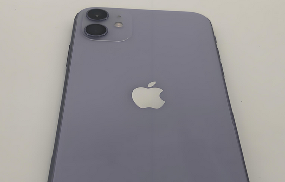 太平苹果11系统维修分享iPhone11手机系统崩溃无法开机如何解决